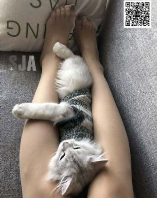 91精品免费看
