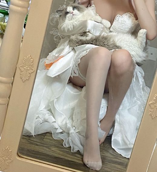 我是刑警免费观看电视剧完整版