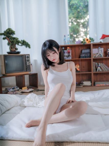 敬水龙乐园动画在线看