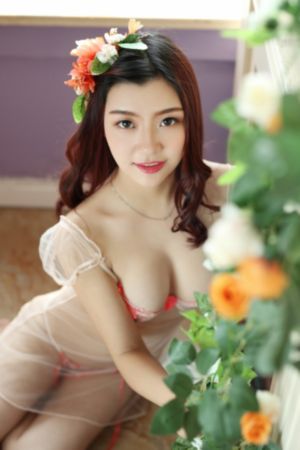 匹诺曹电视剧在线观看完整版免费