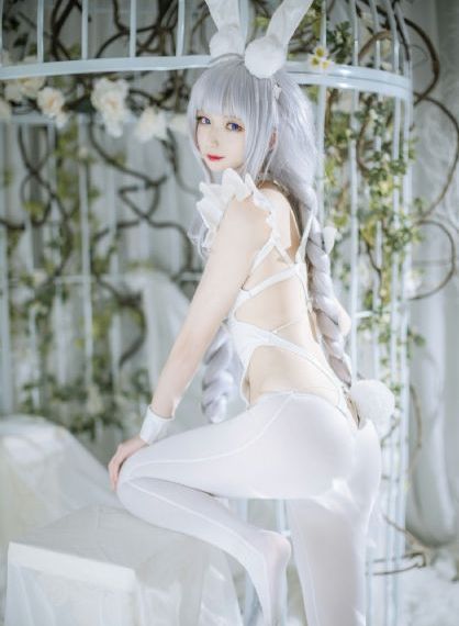 律师的堕落