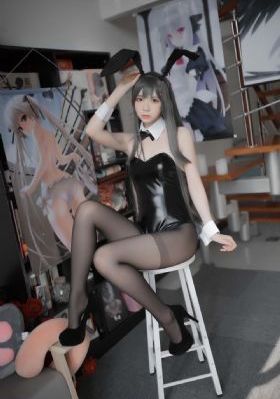 拉布拉多警长146集