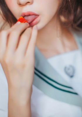 康熙王朝电视剧多少集